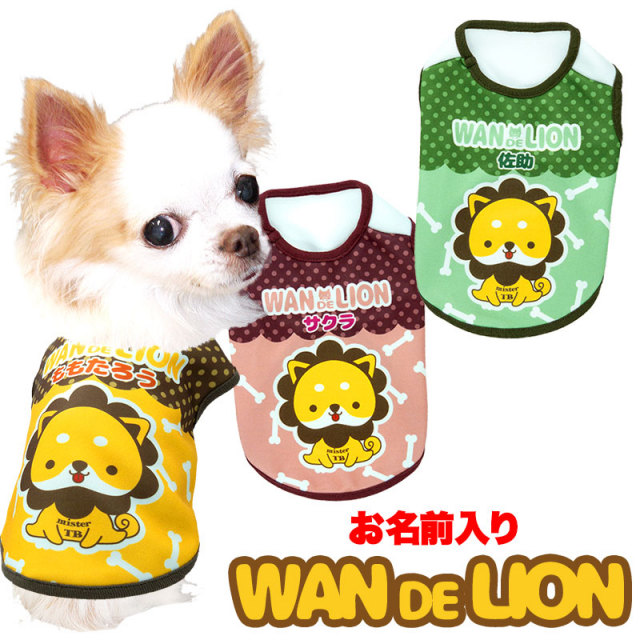 ワンデライオン