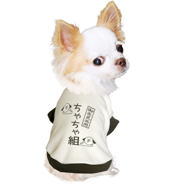 愛犬のお名前入り わんこ組【犬服専門店タムベディ】(O/3/RI/H/)
