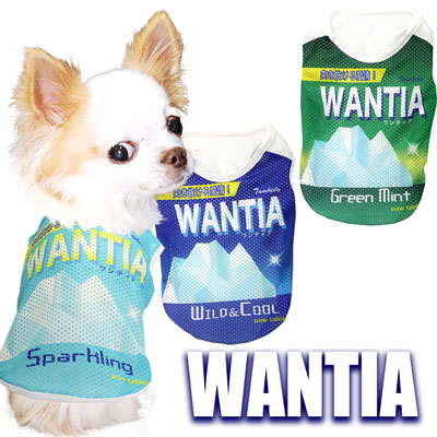 ワンティア★メッシュシャツ