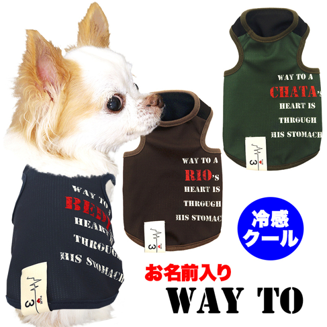犬　服