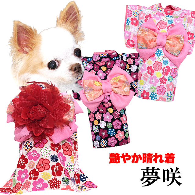 艶やか晴れ着 夢咲(ゆめさき)