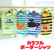 カラフルボーダーシャツ