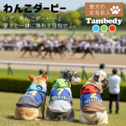 愛犬のお名前入りわんこダービー