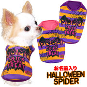 愛犬のお名前入りハロウィンスパイダー