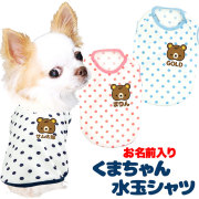 愛犬のお名前入りくまちゃん水玉シャツ【犬服専門店タムベディ】