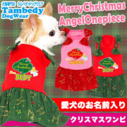 愛犬のお名前入り★メリークリスマス★エンジェルワンピース