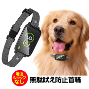 無駄吠え防止首輪
