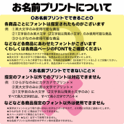 愛犬のお名前入り レースドールワンピース