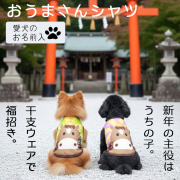 愛犬のお名前入りおうまさんシャツ