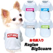 愛犬のお名前入りラグランビッグスクエア