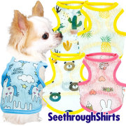 シースルーシャツ