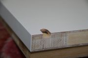 ダボしゃくり