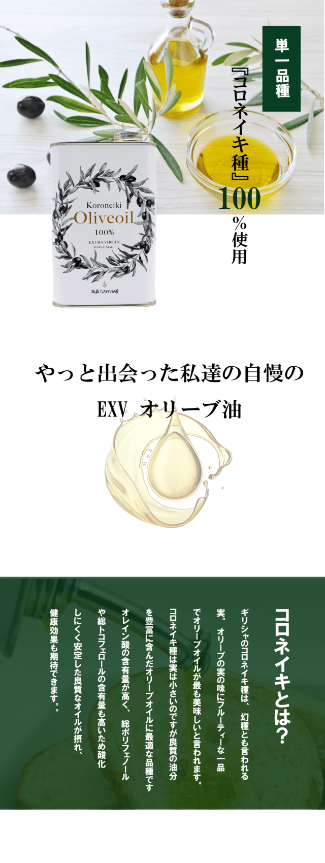 EXVオリーブ油01