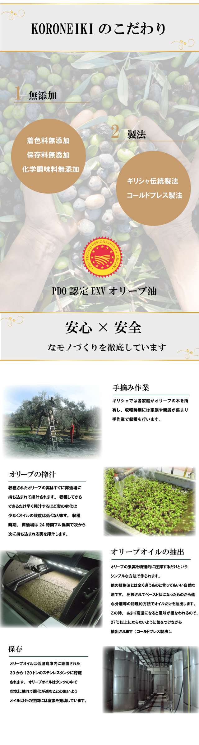 EXVオリーブ油02