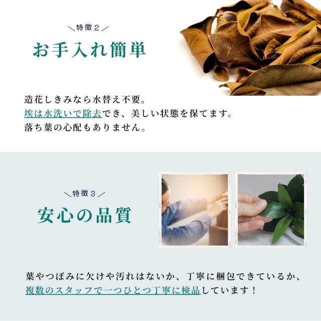 しきみコンテンツ