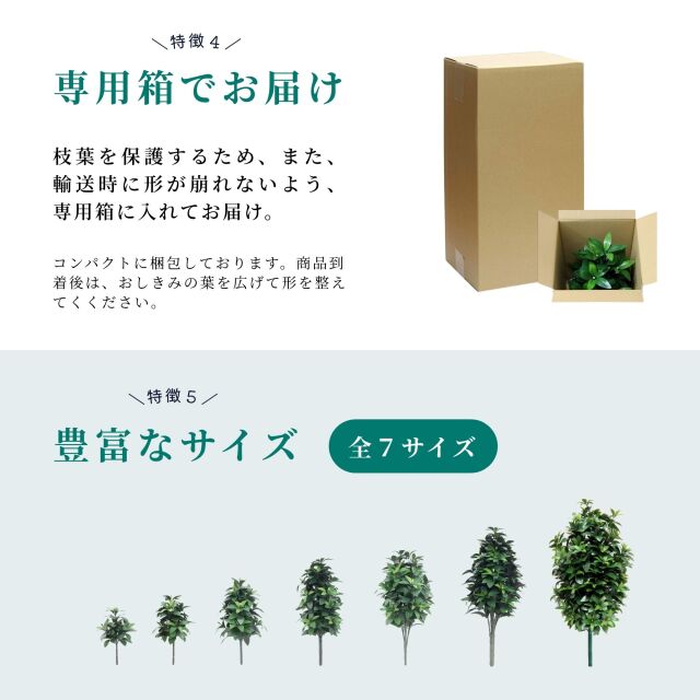 しきみコンテンツ