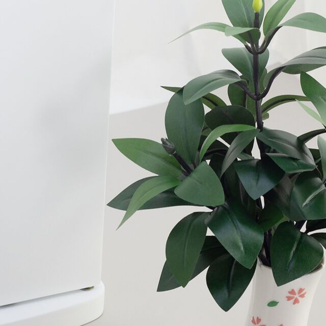 しきみ造花｜創価学会仏壇・仏具・数珠 田中仏壇店