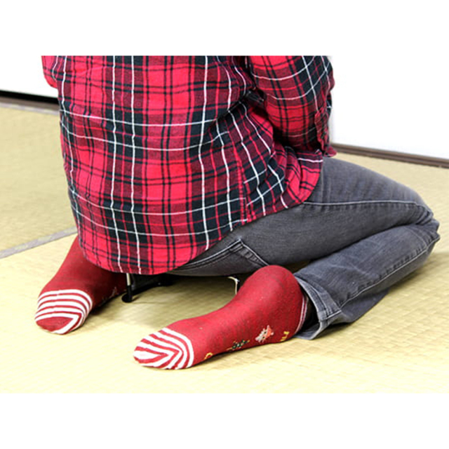 正座椅子 チェック柄
