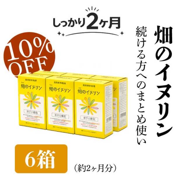 畑のイヌリン/6箱