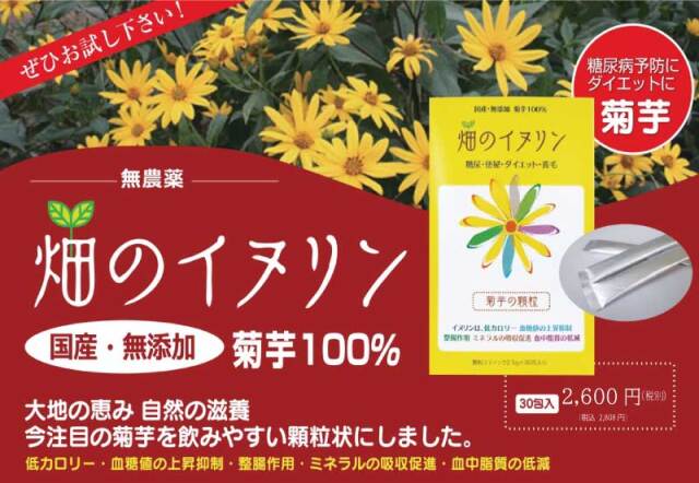 畑のイヌリン