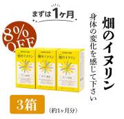 畑のイヌリン/3箱