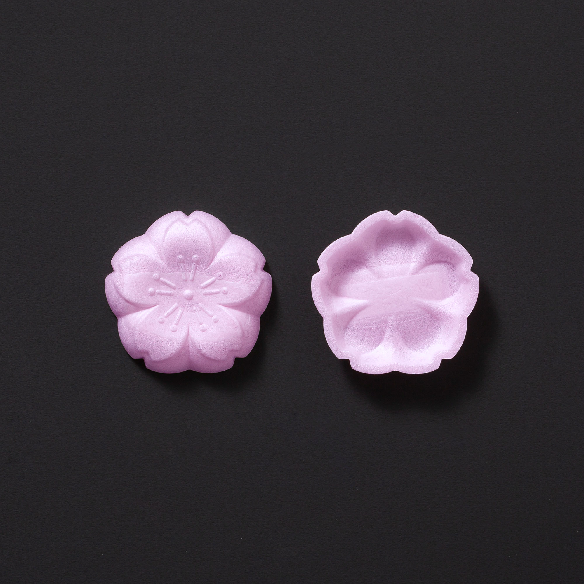 [C020] さくら(赤紫)