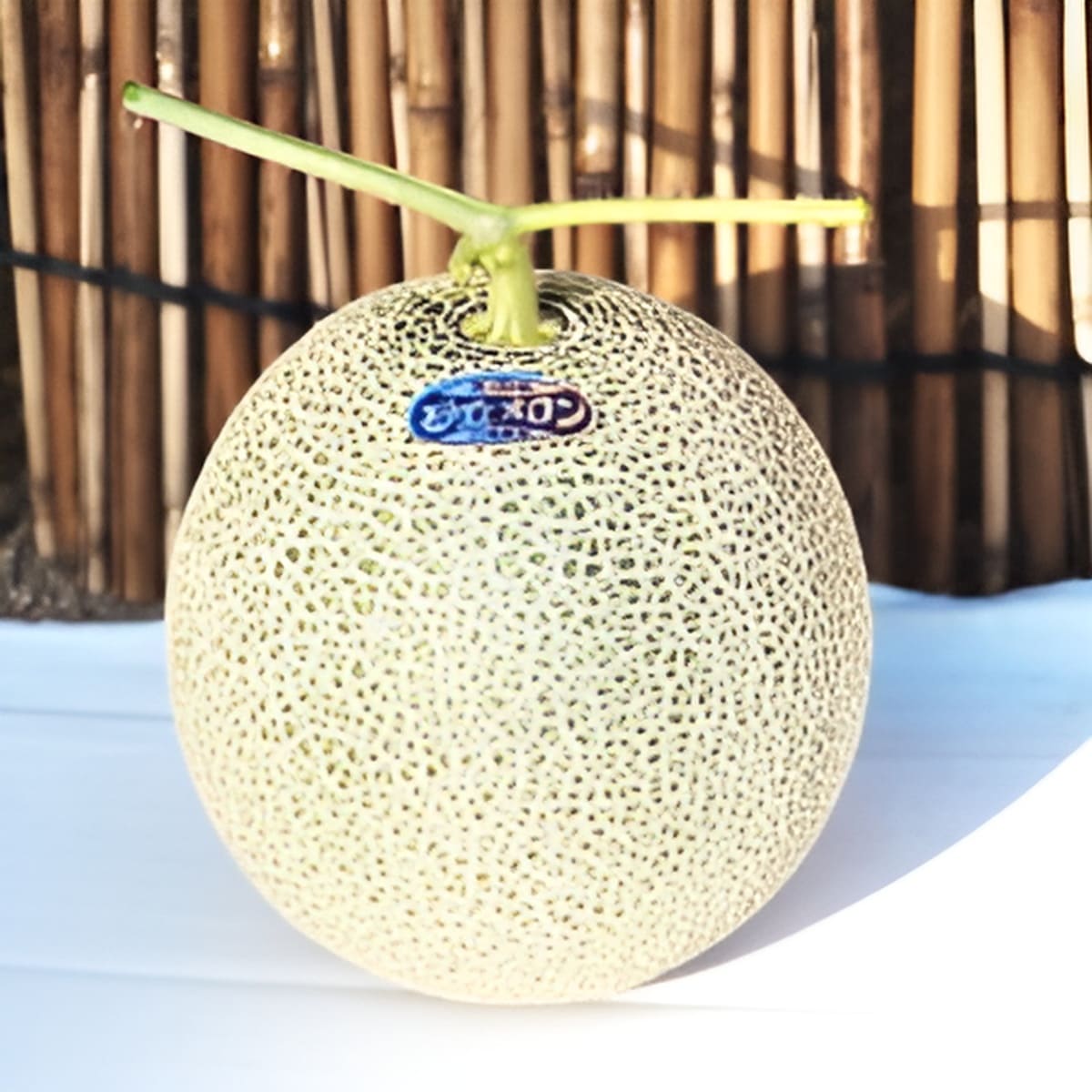 メロン 丹後久美浜の砂丘メロン（箱入り）｜丹後王国こだわり市場