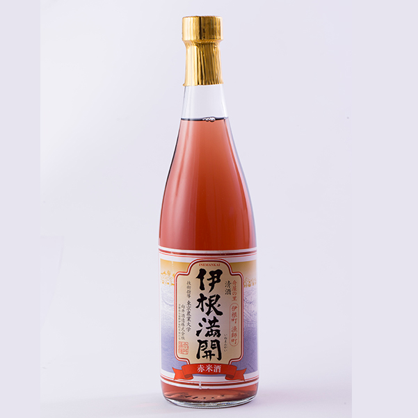 伊根満開