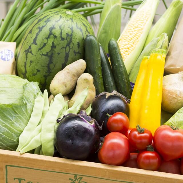 京丹後の夏野菜