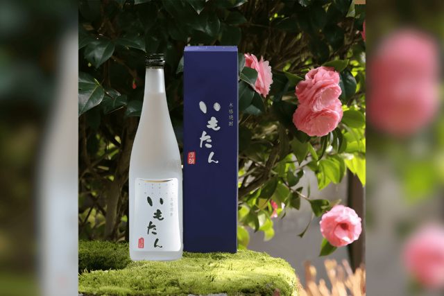 いもたん 専用化粧箱 芋焼酎 丹後蔵