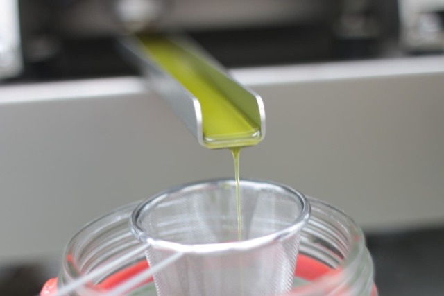 オリーブ抽出イメージ KANDAN