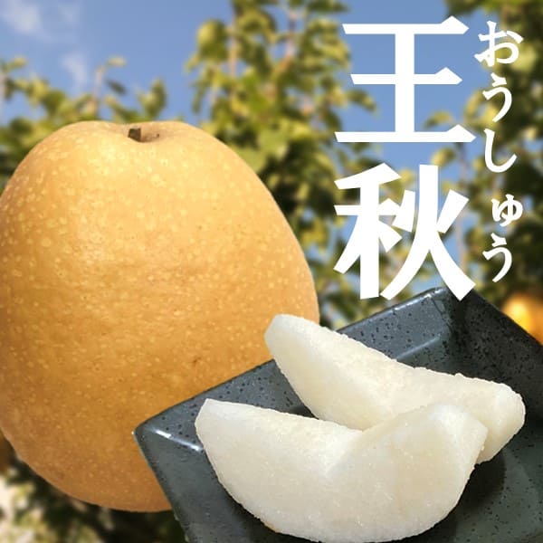 王秋 丹後の梨
