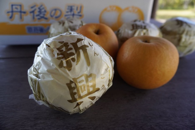 新興梨 丹後の梨