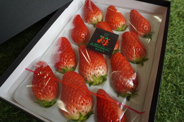 丹後産いちごギフト箱 Farmおかよし