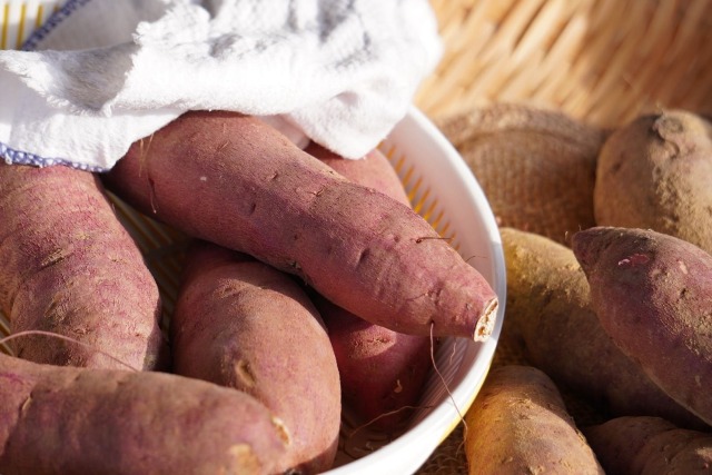 竹田農園プレミアム紅はるか