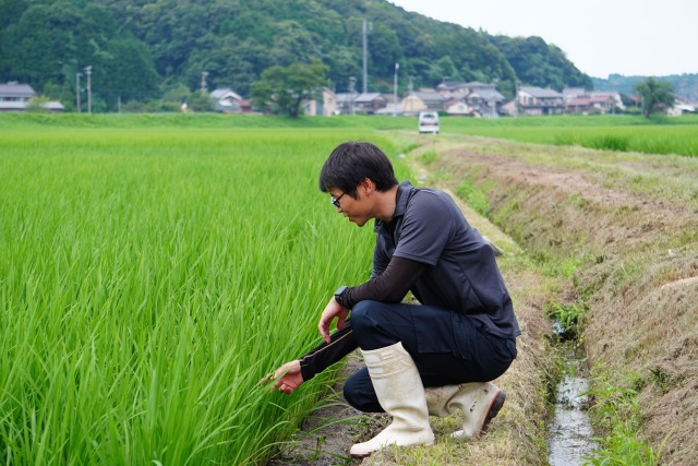 京丹後の生産者　上羽農園さん
