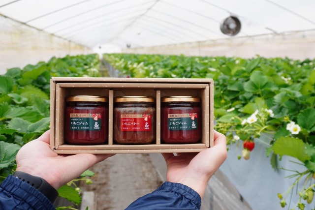 京丹後産いちごジャム・いちごバター ギフトセット 上羽農園