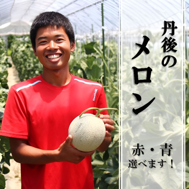 丹後のメロン　ゆめろんファーム
