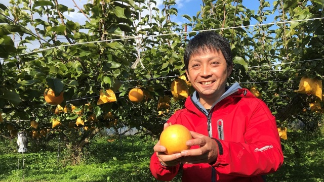 果樹農家の岡崎さん