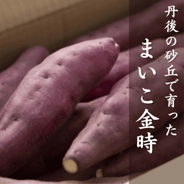 まいこ金時　丹後のさつまいも