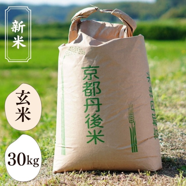 新米 丹後のお米 コシヒカリ 30kg（玄米） 