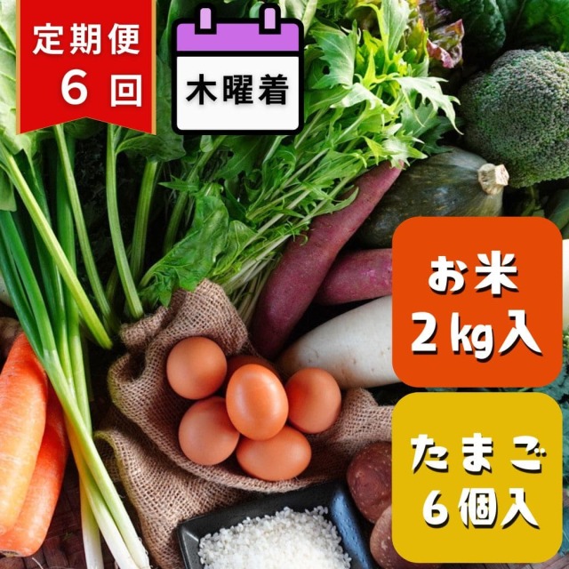 【定期便6回・木曜着】丹後・旬の野菜6～8種とこだわり卵と丹後の米詰め合わせセット