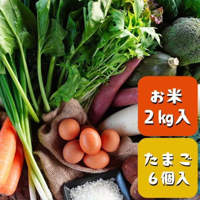 丹後・旬の野菜6～8種とこだわり卵と丹後の米詰め合わせセット