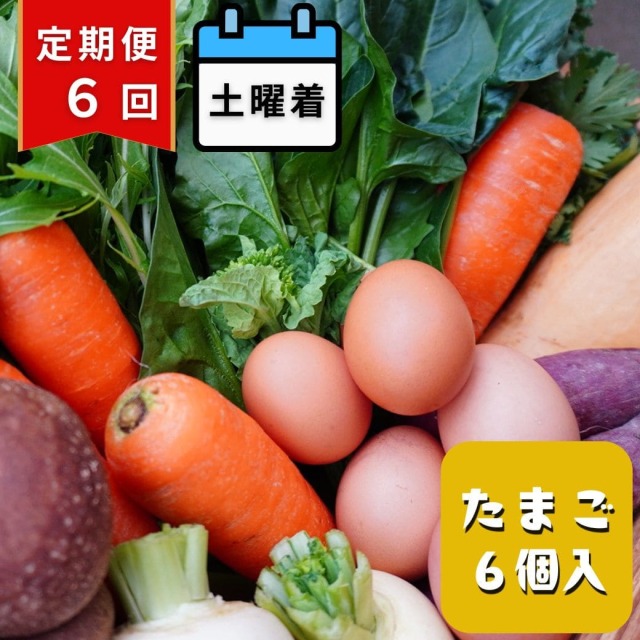 【定期便6回・土曜着】丹後・旬の野菜6～8種とこだわり卵詰め合わせセット