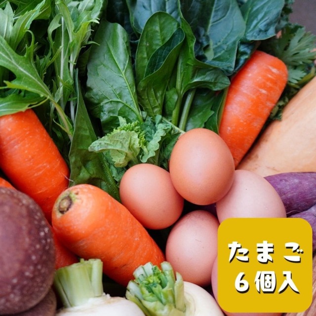 丹後・旬の野菜6～8種とこだわり卵詰め合わせセット