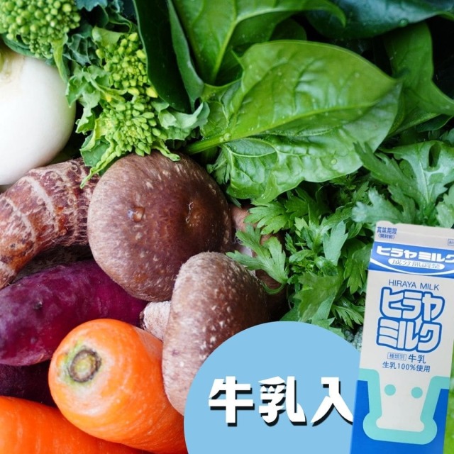 丹後・旬の野菜6～8種とヒラヤミルクセット