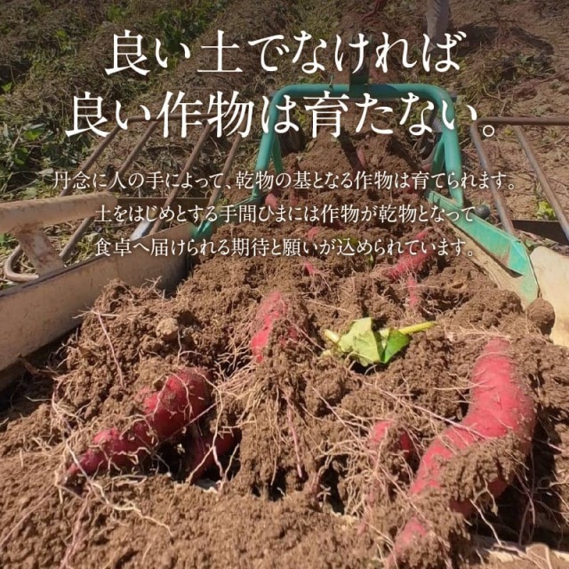 京都・京丹後産干しいも 良い土でなければ良い作物は育たない 山城屋