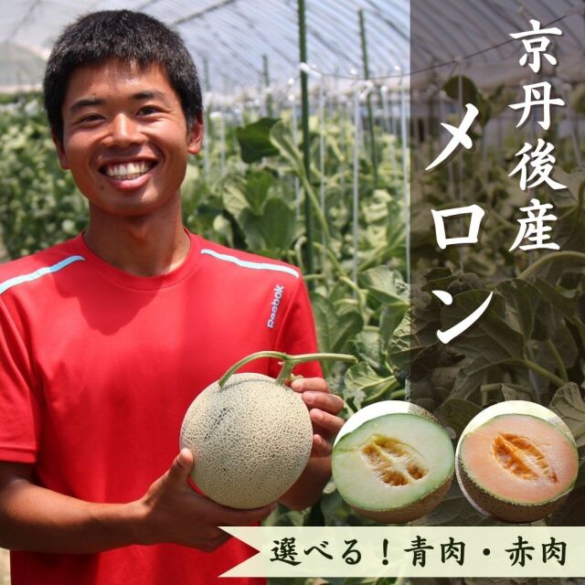 ゆめろんファームのメロン（箱入り）｜こだわり市場