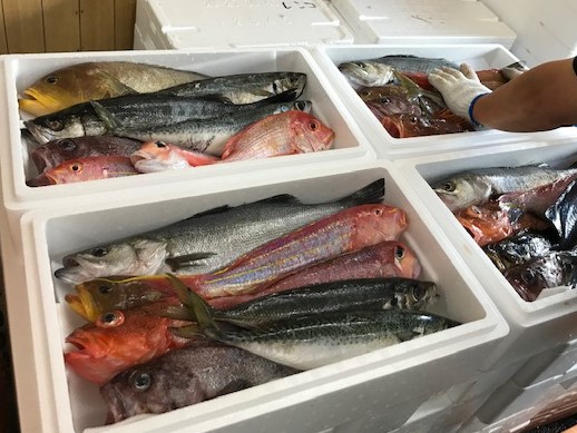 山一おおきに便