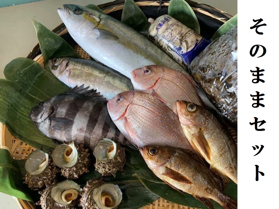 山一そのままセット